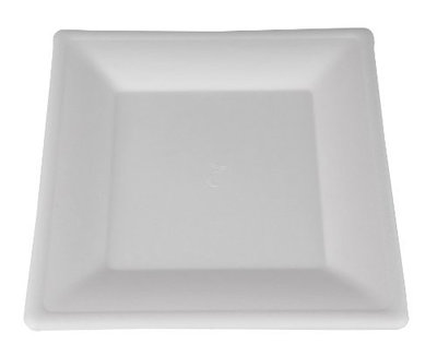 18640 10' SQUARE PAPER PLATES1